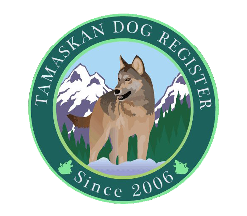 Partial TDR Logo
